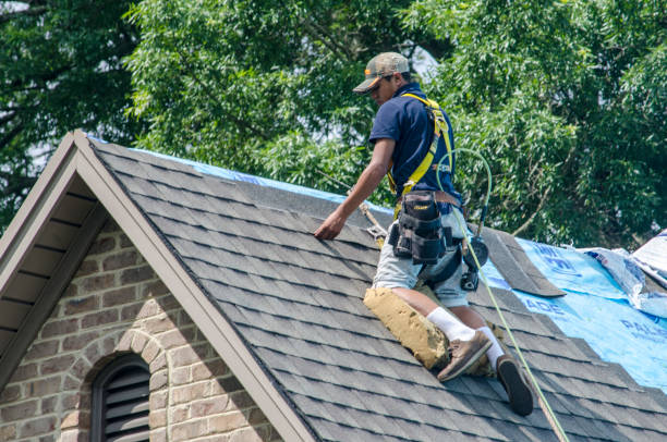 Best Roof Repair Services  in Ladoga, IN